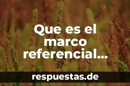 Qué es su concepto y definición función referencial 6 Que es el marco referencial ejemplos
