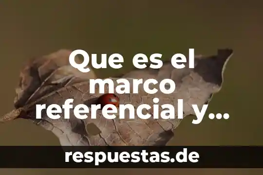 Qué es su concepto y definición función referencial 5 Que es el marco referencial y marco teórico