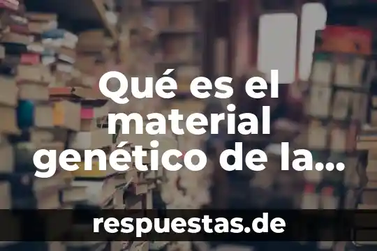 ¿Qué es la mitocondria de la célula animal? 3 Qué es el material genético de la célula