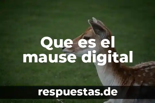 Qué es la huella de identidad digital 5 Que es el mause digital