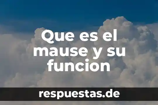Qué es la función apelativa de la lengua 5 Que es el mause y su funcion