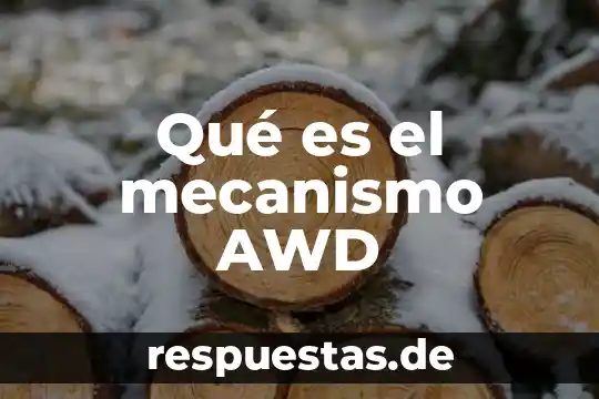 Que es la oxacilina mecanismo de accion 4 Qué es el mecanismo AWD