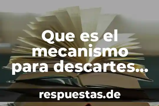 Que es la oxacilina mecanismo de accion 5 Que es el mecanismo para descartes resumido