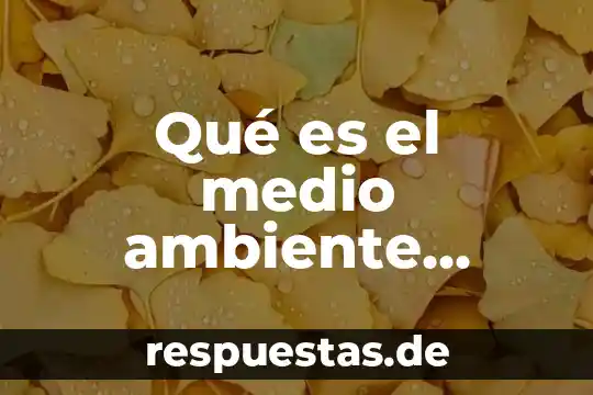 ¿Qué es la socioafectivo concepto? 6 Qué es el medio ambiente entendido como naturaleza