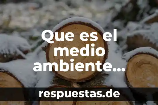 Que es el ambiente frustante 5 Que es el medio ambiente gonzalez noro