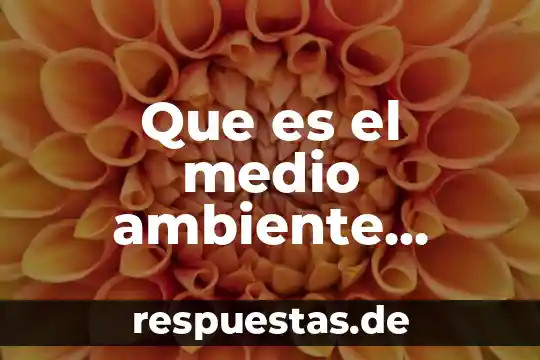 Que es el medio ambiente humano