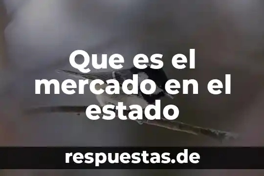 Qué es lo más típico de estado de sonora 4 Que es el mercado en el estado