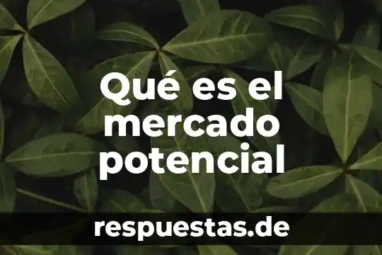 Que es un significado potencial 4 Qué es el mercado potencial