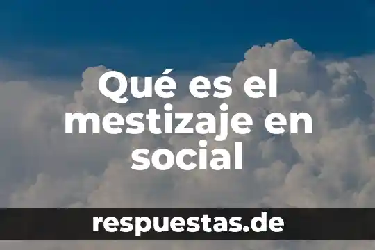 Hacinamiento social que es 6 Qué es el mestizaje en social