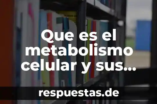 Que es el metabolismo celular y sus tipos