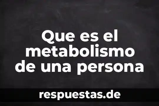 Que es el metabolismo de una persona