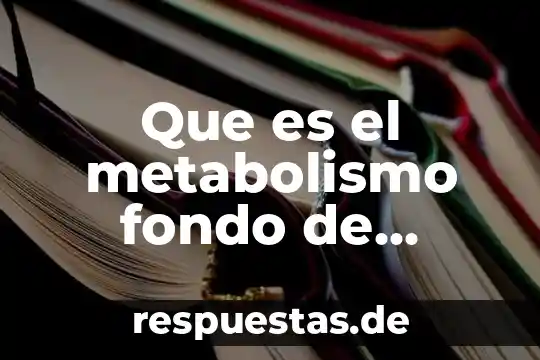 Dibujo sobre que es la sociedad de fondo una ciudad 7 Que es el metabolismo fondo de cultural