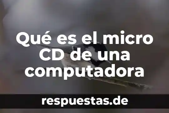 Qué es el micro CD de una computadora