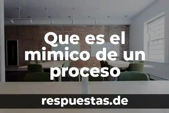 Qué es el proceso del conocimiento 6 Que es el mimico de un proceso