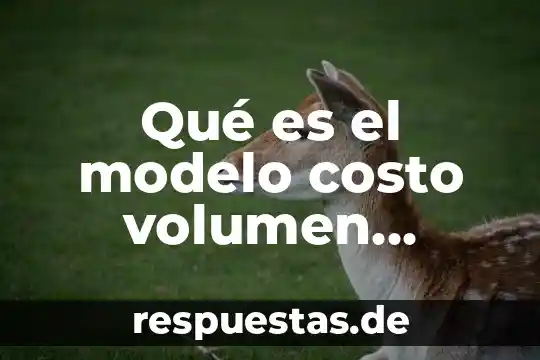 Que es el volumen de una figura geometrica para primaria 3 Qué es el modelo costo volumen utilidad cvu