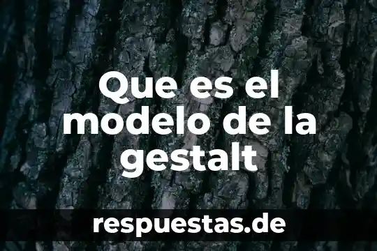 Qué es un modelo enzimático mecánico 8 Que es el modelo de la gestalt