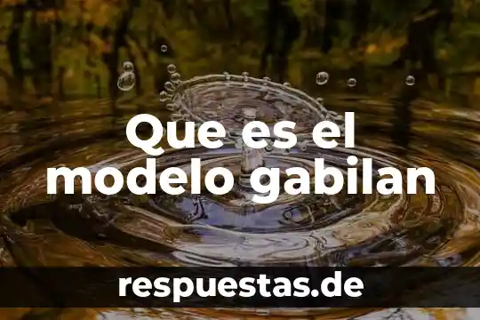 Que es un modelo de conocimiento 7 Que es el modelo gabilan