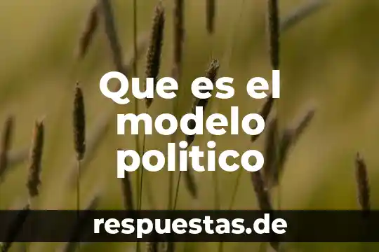 Que es reglamentos mexico 8 Que es el modelo politico