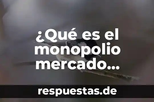 Que es un monopolio concepto 5 ¿Qué es el monopolio mercado imperfecta?