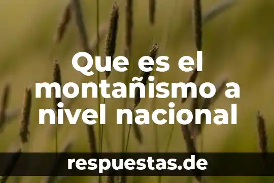 Qué es una olimpiada nacional 6 Que es el montañismo a nivel nacional