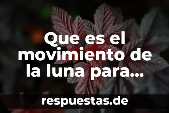 Que es movimiento y tipos de movimiento 3 Que es el movimiento de la luna para una maqueta