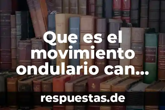 Que es cuenta movimiento y saldo 3 Que es el movimiento ondulario can akademy