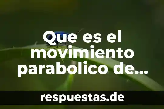 Qué es caída libre y cuál es su fórmula 5 Que es el movimiento parabolico de caida libre