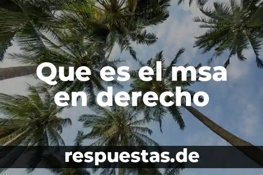 Que es la doctrina del derecho divino 7 Que es el msa en derecho