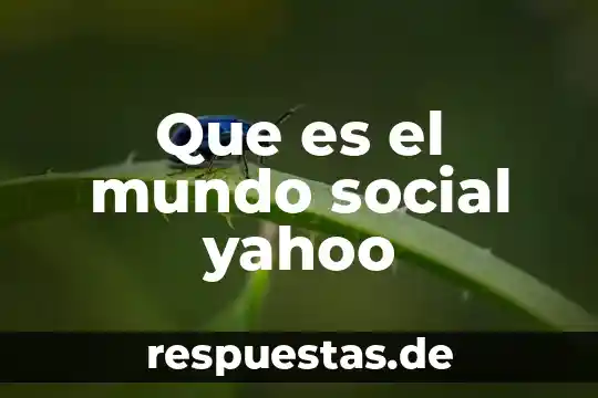 Que es un principio Yahoo 7 Que es el mundo social yahoo