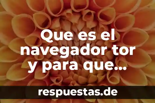 Que es el navegador tor y para que sirve
