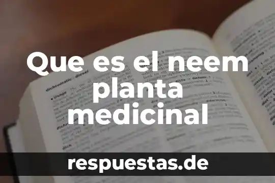 Qué es las espicolas de la planta 4 Que es el neem planta medicinal