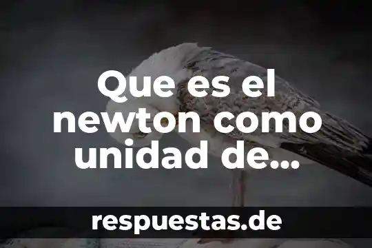 Que es un argumento e definiciones con fuente 6 Que es el newton como unidad de fuente