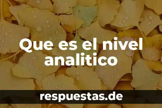 Que es el nivel analitico