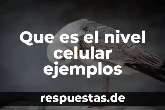 Qué es flor en biología 3 Que es el nivel celular ejemplos