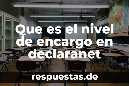 Que es conocimiento a nivel usuario 8 Que es el nivel de encargo en declaranet