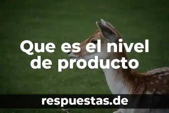 Qué es un gasto en derecho 6 Que es el nivel de producto