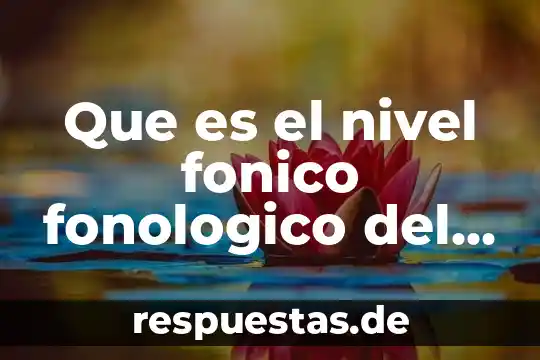 Que es introducir el texto del signo 6 Que es el nivel fonico fonologico del texto lirico