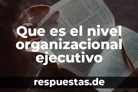 Que es cultura organizacional en servicio al cliente 4 Que es el nivel organizacional ejecutivo