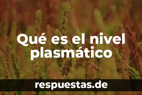 Qué es el nivel plasmático