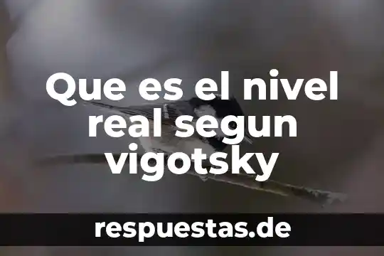 Que es ludica segun vigotsky 5 Que es el nivel real segun vigotsky
