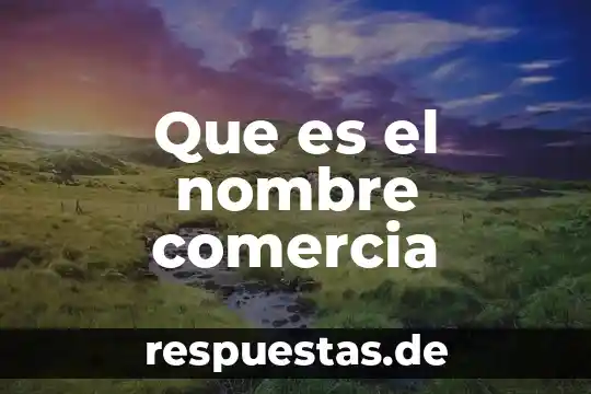4017 Que es 6 Que es el nombre comercia