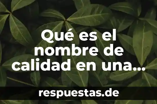 Que es calidad y antecedentes de calidad 3 Qué es el nombre de calidad en una etiqueta