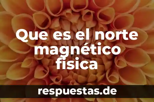 Que es el norte magnético fisica