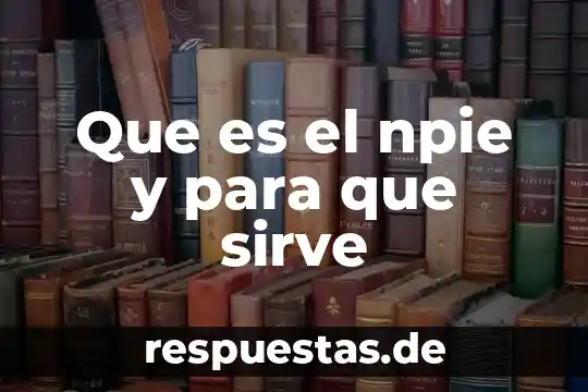 Que es el npie y para que sirve