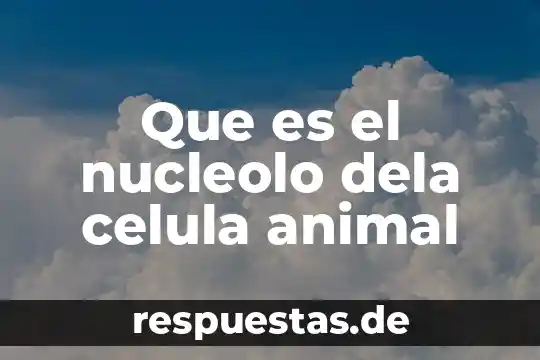 Que es el marco historico metodologia dela investigacion 6 Que es el nucleolo dela celula animal