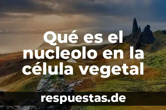 Que es la colina en nutricion animal y vegetal 3 Qué es el nucleolo en la célula vegetal