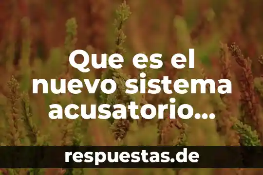 Que es icono del sistema operativo 5 Que es el nuevo sistema acusatorio adversarial de inmediacion