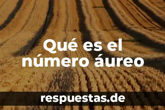 Qué es un número fraccionario 7 Qué es el número áureo