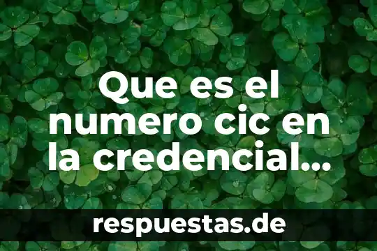 Qué es proceso de construcción de la noción del número 5 Que es el numero cic en la credencial de elector