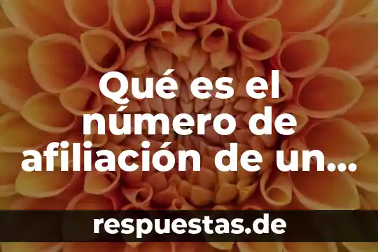 Qué es el número de afiliación de la ss 6 Qué es el número de afiliación de un banco